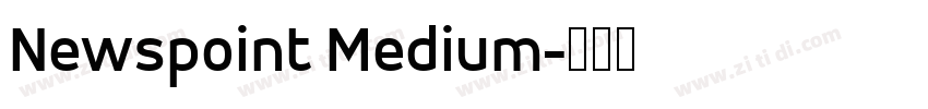 Newspoint Medium字体转换